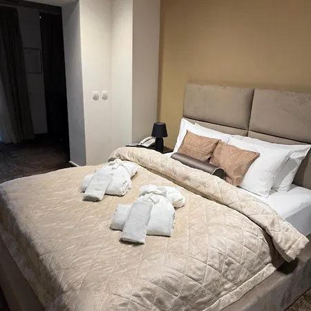 Panorama Aqualux With Free Parking 호텔 노비사드